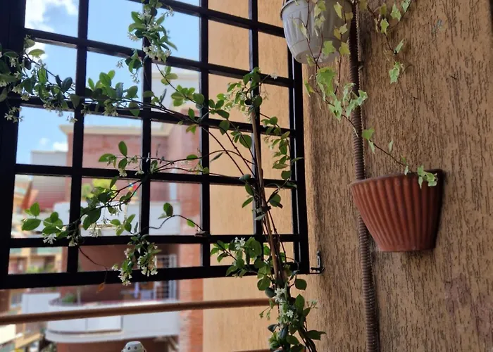 Il Sogno * רומא
